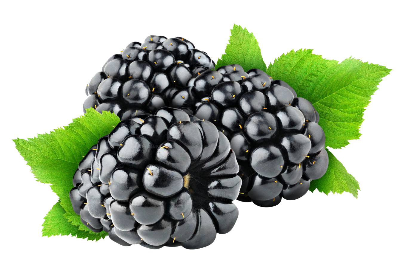 Blue Berries