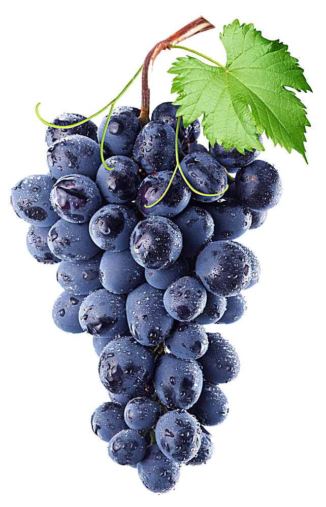 Concord grapes