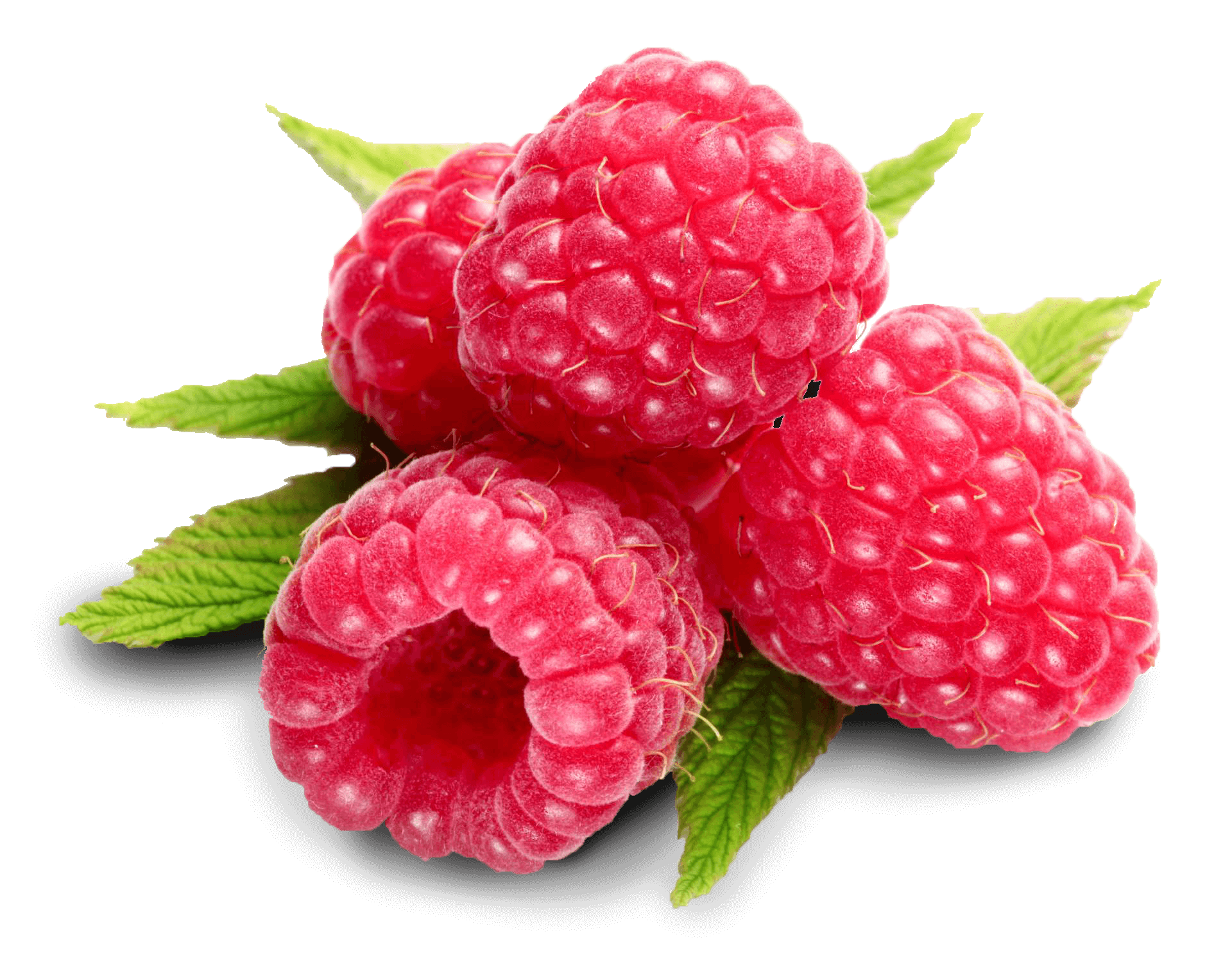 Cascade Delight