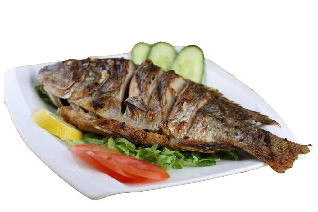 grilled tilapia