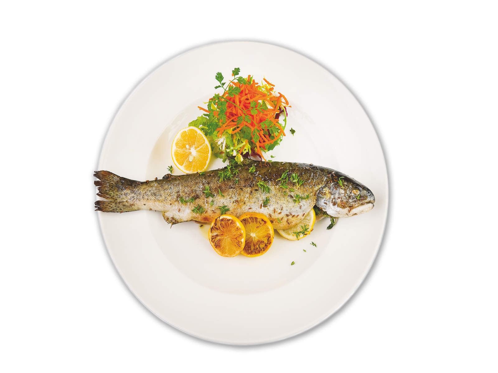 grilled tilapia